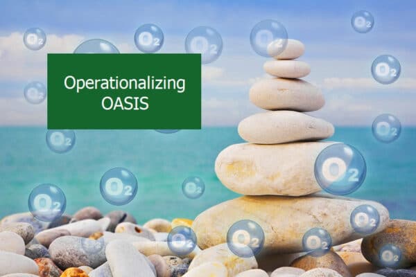 operationalizing oasis graphic with stacked rocks